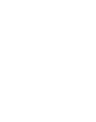 PDF Icon
